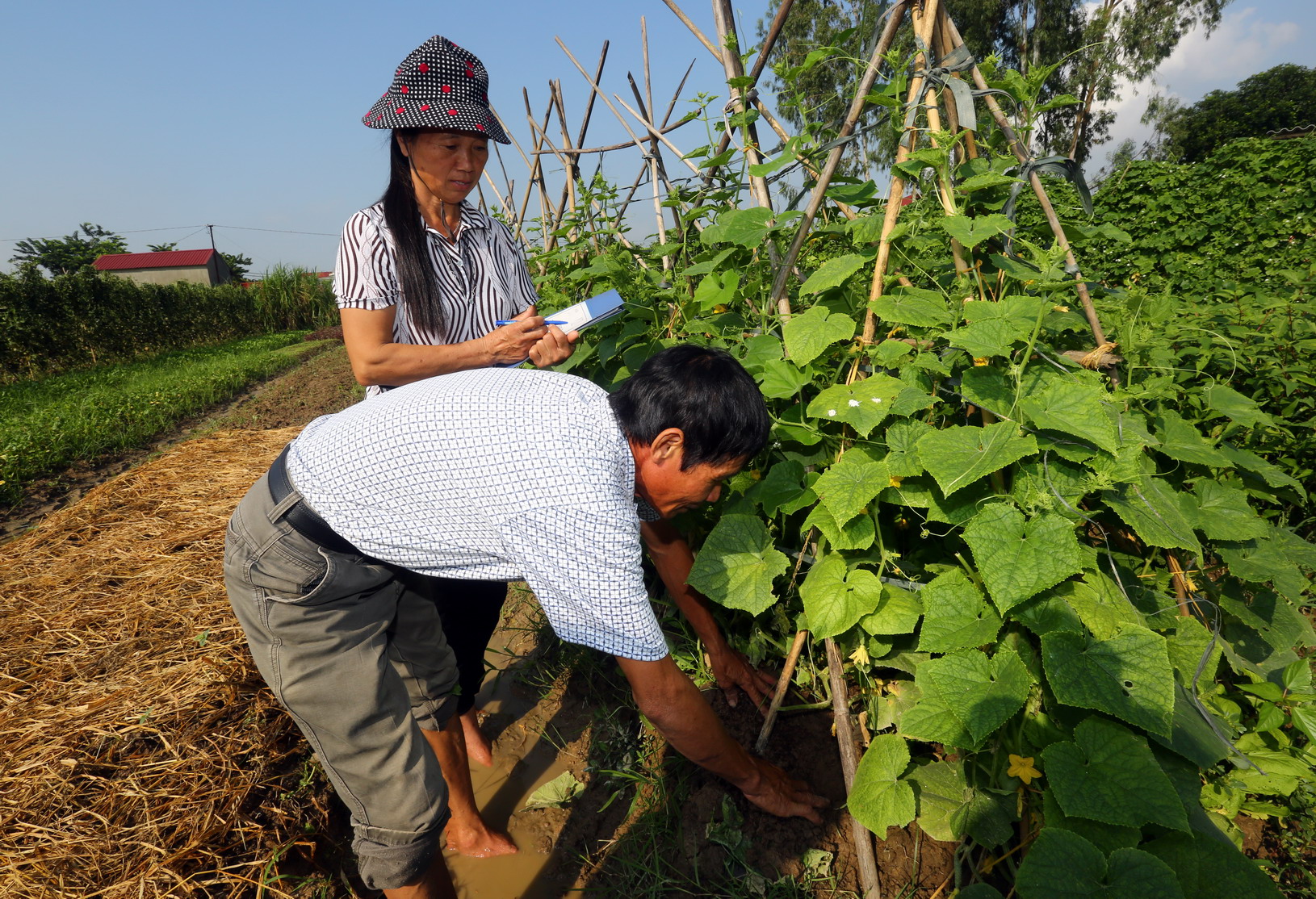 002-Rikolto_projetVietnam.jpg