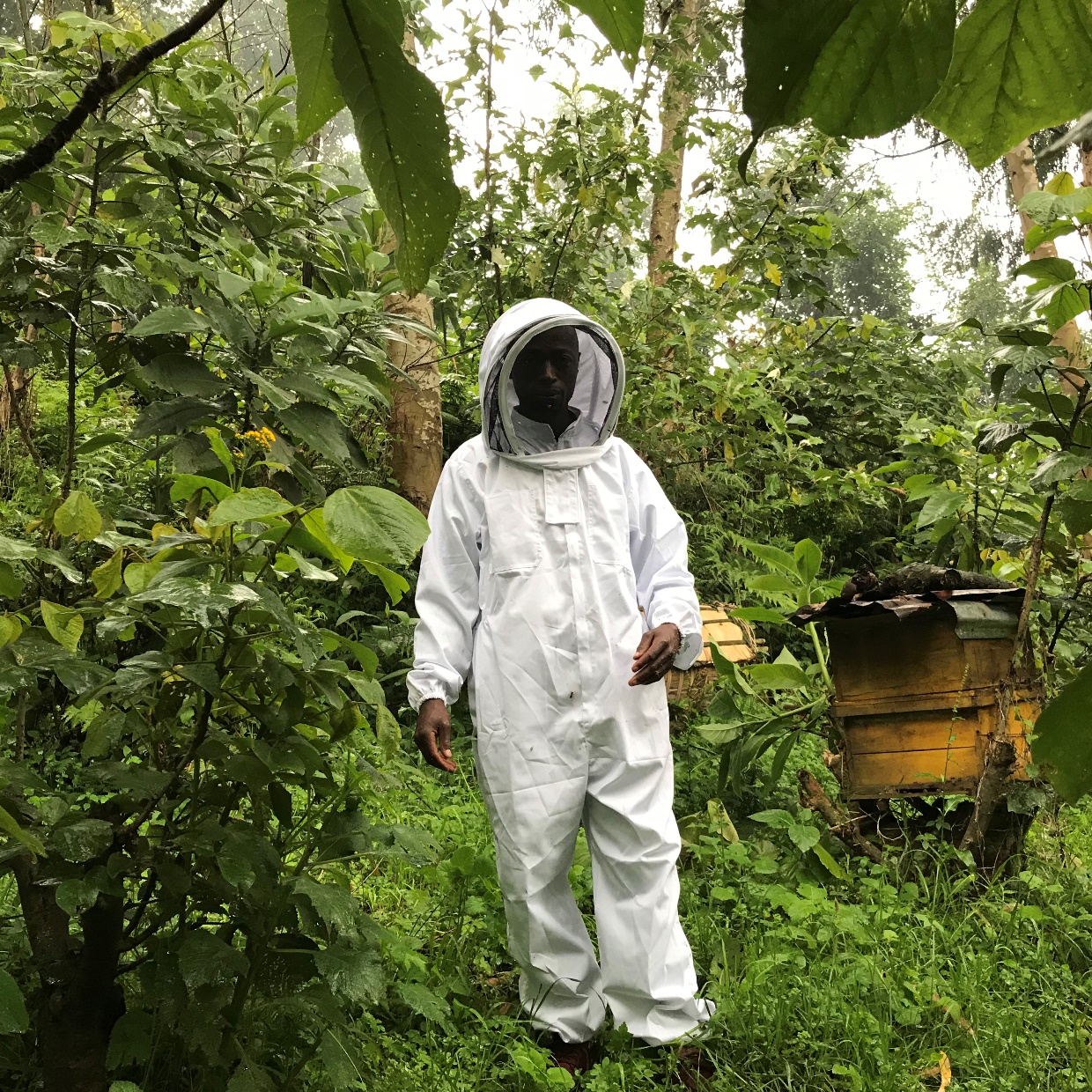 Beekeeping%20in%20Rwanda_WFP-001.jpg