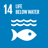 Goal 14: Conserve and sustainably use the oceans, seas and marine resources