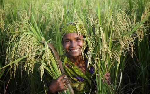 CGIAR